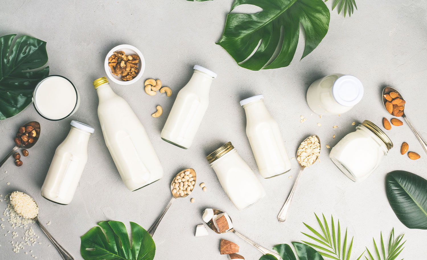 Liquid Food Processing Production Line: Udstyr, design og investeringsvejledning